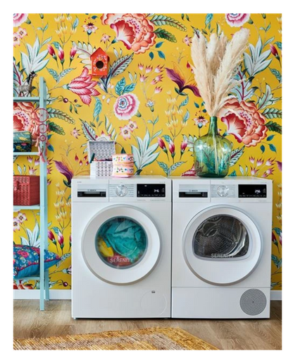Sèche-linge pompe à chaleur Bosch WQG245DSFR Série 6 – 9 kg AutoDry R290 Classe A+++